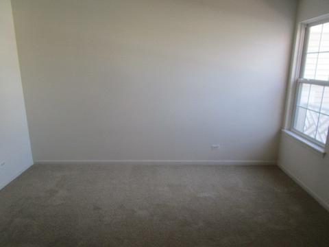 24 Kelsey Ct, Algonquin, IL 60102 photo 13