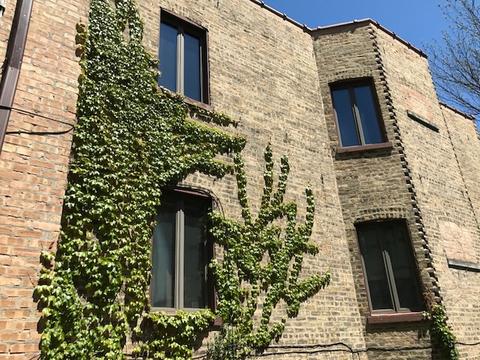 120 Franklin Ave, River Forest, IL 60305 photo 11