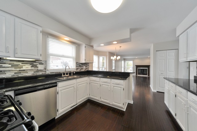 1466 Canter Ln, Bartlett, IL 60103 photo 5