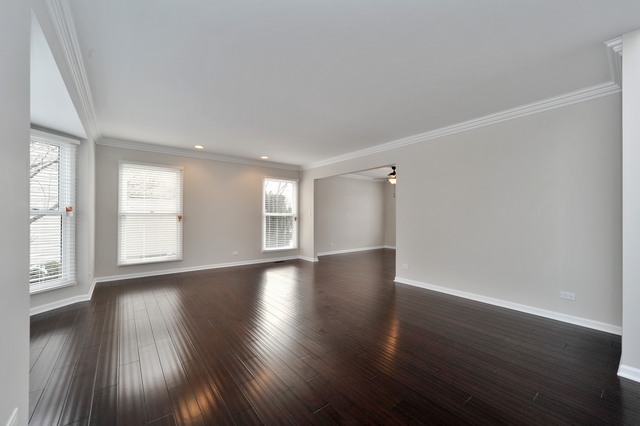 1466 Canter Ln, Bartlett, IL 60103 photo 4