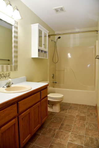 2501 Joe Adler Dr, Plainfield, IL 60586 photo 13