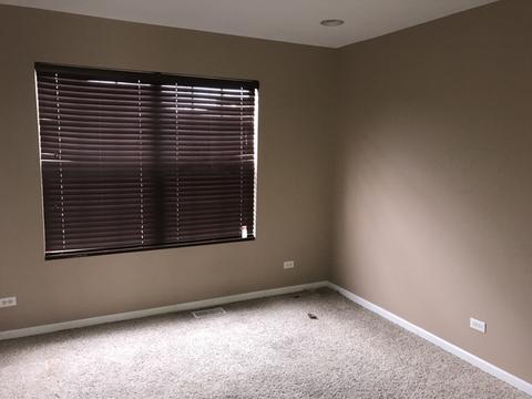 12738 Skyline Dr, Plainfield, IL 60585 photo 20