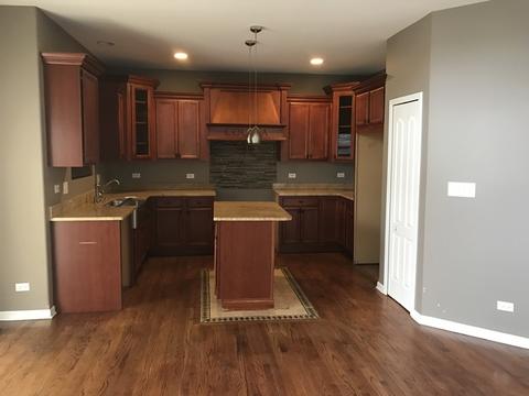 12738 Skyline Dr, Plainfield, IL 60585 photo 8
