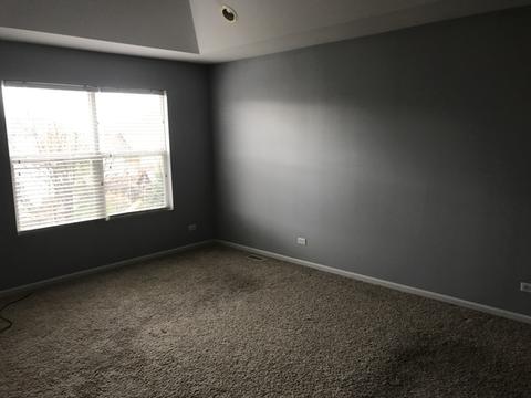 12738 Skyline Dr, Plainfield, IL 60585 photo 16