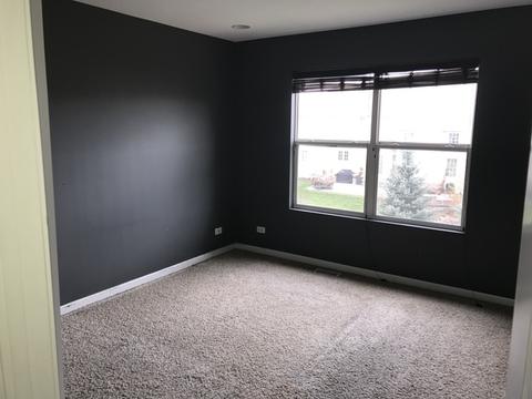 12738 Skyline Dr, Plainfield, IL 60585 photo 21