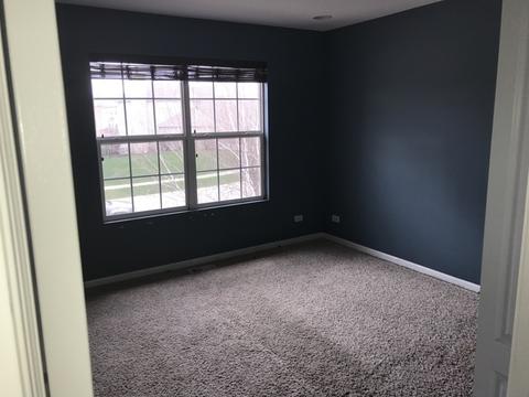 12738 Skyline Dr, Plainfield, IL 60585 photo 22