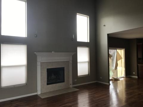 12738 Skyline Dr, Plainfield, IL 60585 photo 4