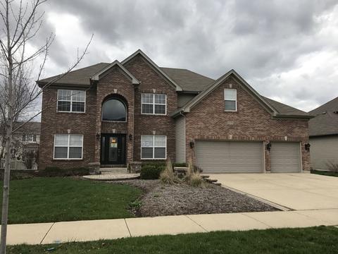12738 Skyline Dr, Plainfield, IL 60585 photo 1