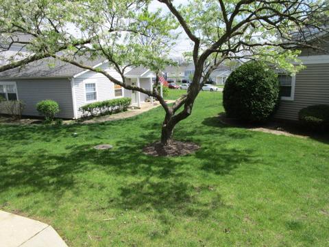 1326 Braver Ct, Wheeling, IL 60090 photo 5
