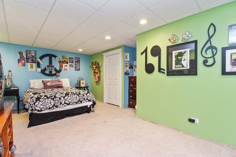 26539 S Oak River Dr, Monee, IL 60449 photo 16