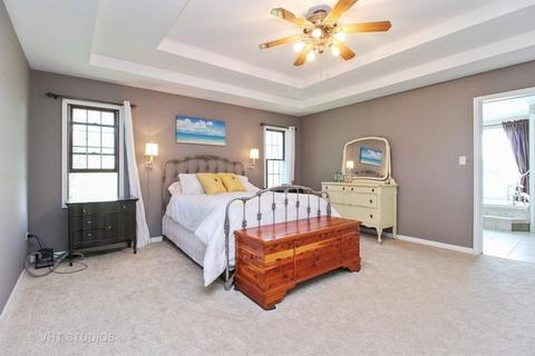 26539 S Oak River Dr, Monee, IL 60449 photo 11