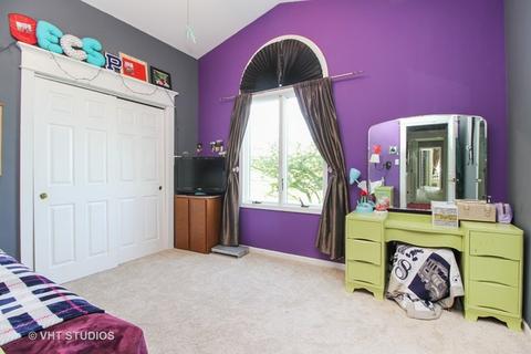 26539 S Oak River Dr, Monee, IL 60449 photo 14
