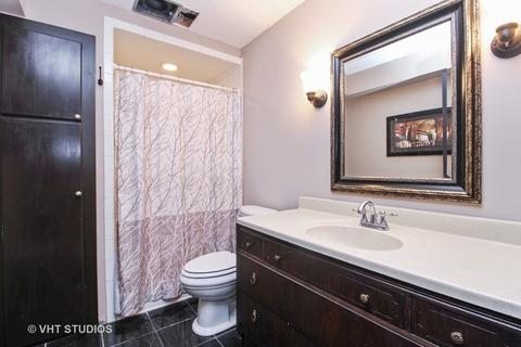 26539 S Oak River Dr, Monee, IL 60449 photo 18
