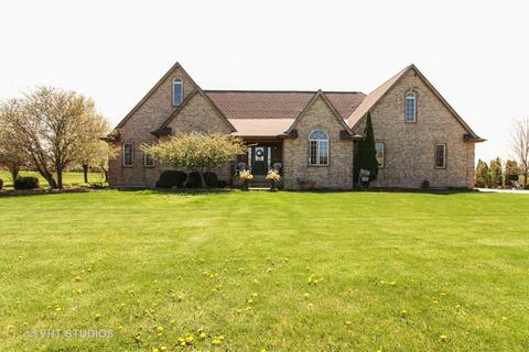 26539 S Oak River Dr, Monee, IL 60449 photo 1