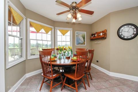 26539 S Oak River Dr, Monee, IL 60449 photo 5