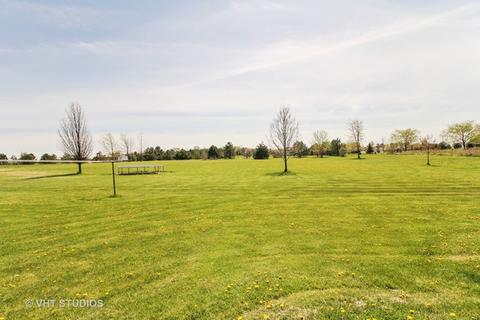 26539 S Oak River Dr, Monee, IL 60449 photo 20