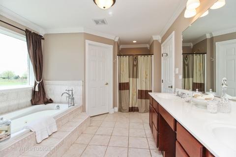 26539 S Oak River Dr, Monee, IL 60449 photo 13