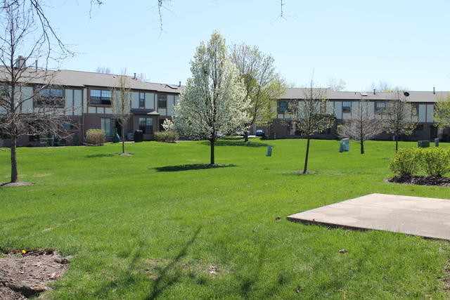 4531 Olmstead Dr, Hoffman Estates, IL 60192 photo 11