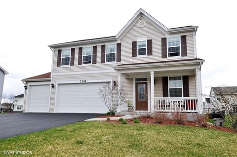 2308 Deerpath Rd, Bolingbrook, IL 60490 photo 1
