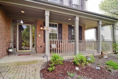1450 Saddleridge Pl, Bartlett, IL 60103 photo 20