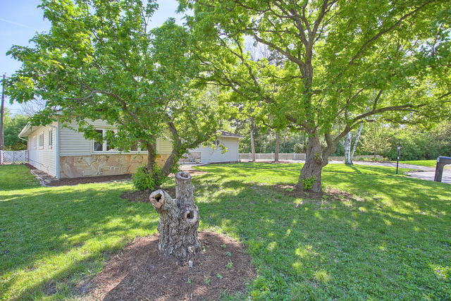 9 Alder Ct, Champaign, IL 61821 photo 30