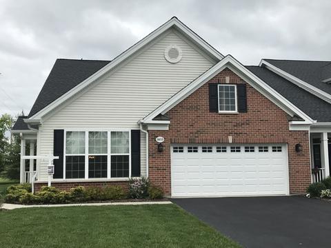1033 Riviera Dr, Elgin, IL 60124 photo 2