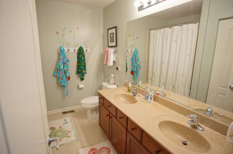2146 W Silverleaf Ln, Addison, IL 60101 photo 19