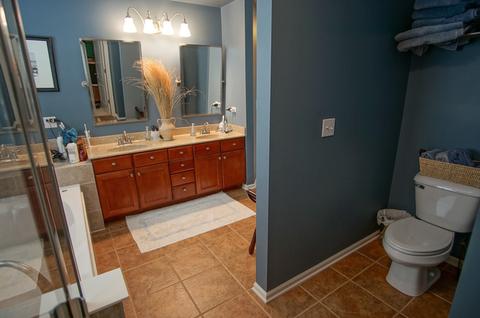 2146 W Silverleaf Ln, Addison, IL 60101 photo 15