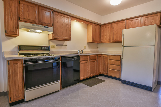 1195 Ash Rd, Hoffman Estates, IL 60169 photo 7