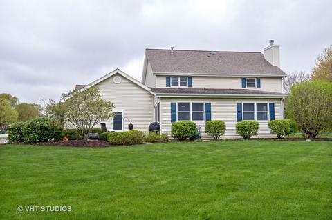 1295 Karyn Ct, Sleepy Hollow, IL 60118 photo 18