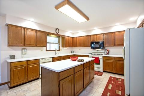 1295 Karyn Ct, Sleepy Hollow, IL 60118 photo 3
