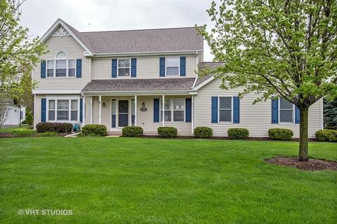 1295 Karyn Ct, Sleepy Hollow, IL 60118 photo 1