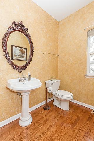 131 Timber Ct, Gilberts, IL 60136 photo 9