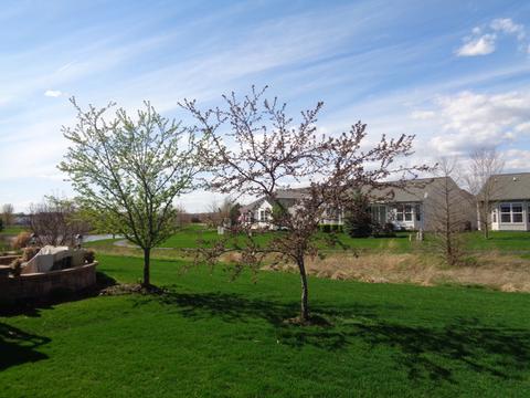 2508 Rolling Ridge Ln, Elgin, IL 60124 photo 2