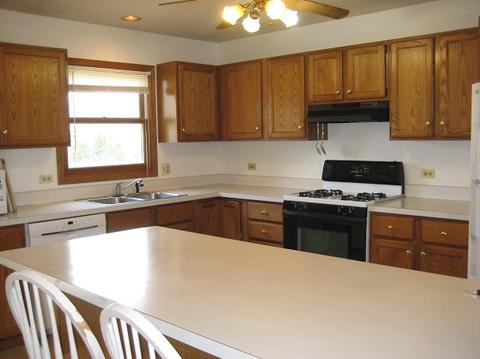 1505 10th St, Harvard, IL 60033 photo 15