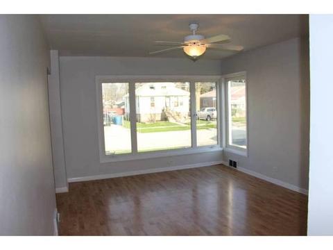 14516 Trumbull Ave, Midlothian, IL 60445 photo 4