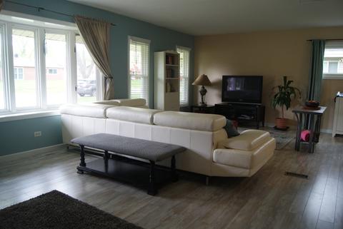 730 Olive St, Hoffman Estates, IL 60169 photo 3