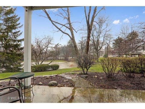 1901 Gresham Cir #B, Wheaton, IL 60189 photo 3