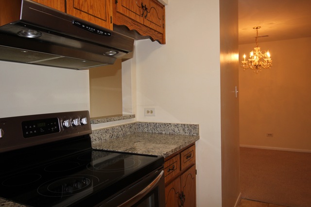 1482 Stonebridge Cir #C8, Wheaton, IL 60189 photo 7