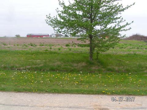 10821 Saddle Dr, Monee, IL 60449 photo 1