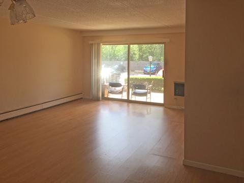 574 Fairway View Dr #3-3I, Wheeling, IL 60090 photo 8