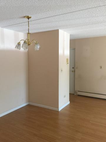 574 Fairway View Dr #3-3I, Wheeling, IL 60090 photo 4