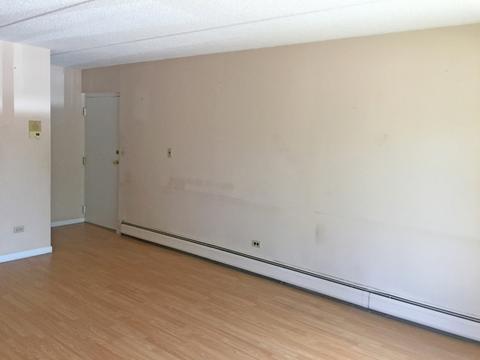 574 Fairway View Dr #3-3I, Wheeling, IL 60090 photo 12