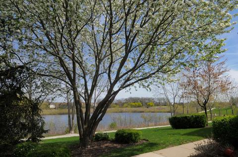 2815 Falling Waters Dr, Lindenhurst, IL 60046 photo 16