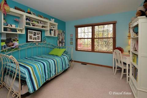 3 Bunker Hill Ct, Algonquin, IL 60102 photo 23