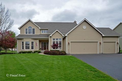 3 Bunker Hill Ct, Algonquin, IL 60102 photo 1