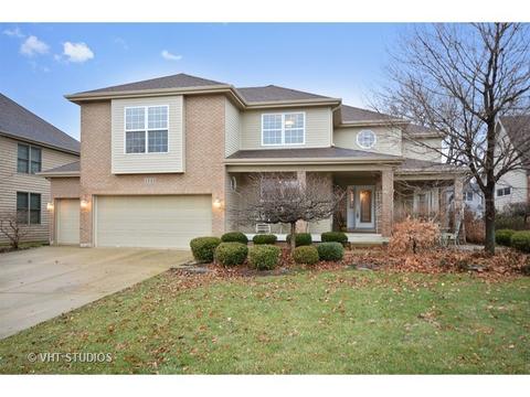 1135 Compass Ct, Naperville, IL 60540 photo 1