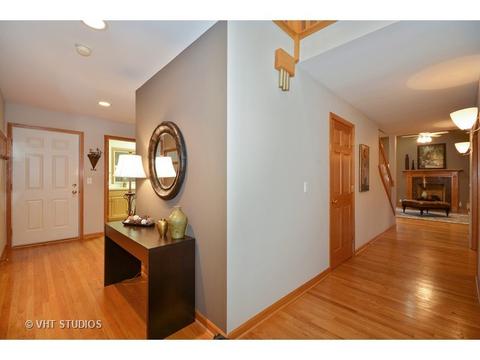 1135 Compass Ct, Naperville, IL 60540 photo 11