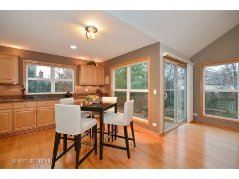 1135 Compass Ct, Naperville, IL 60540 photo 12