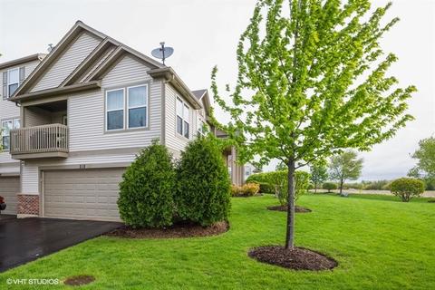 218 Devoe Dr, Oswego, IL 60543 photo 16